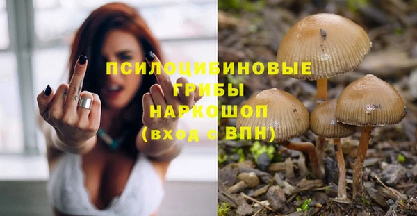 эйфоретик Беломорск
